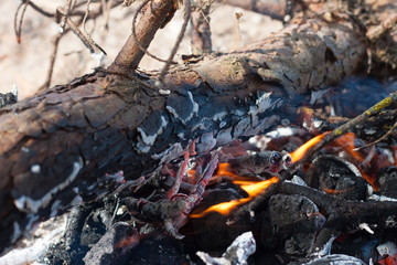 Tourist fire in the forest during the hike