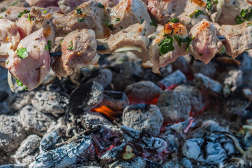 Meat on skewers fried at the stake, camp kitchen