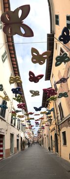 Pietrasanta, Italy - August 25 2018: Garibaldi street in Pietrasanta in Italy is decked with the butterflies, opera Mariposas by Manolo Vald&egrave;s. 