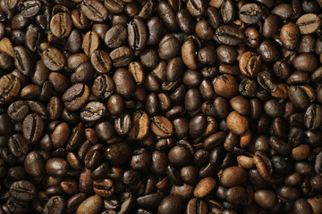 Close up of coffee beans nice and cleaned with white background. Concept: food, drinks, flavor