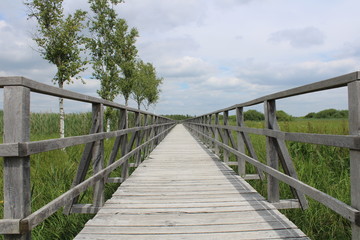 Fototapeta premium Federnseesteg