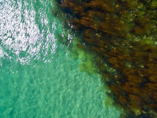 Aerial view of the Pembrokeshire coast showing seaweed and blue green water 