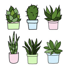 Cactuses and succulents set. Hand drawn colorful illustration vector.