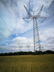Pylons for power lines