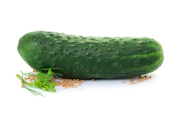 Gurke