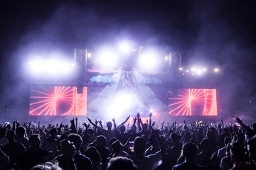 Electronic music festival