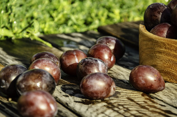Vintage plums in a wooden bowl, on a wooden background, on the grass on a sunny afternoon on the grass.