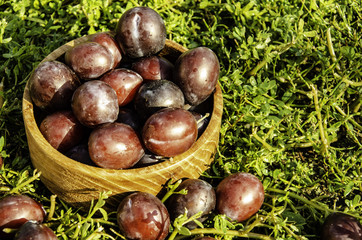 Vintage plums in a wooden bowl, on a wooden background, on the grass on a sunny afternoon on the grass.
