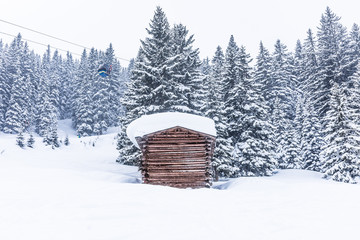 Snow Cabin