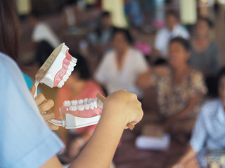 The dentist&rsquo;s teaching brush the teeth with a model teeth.