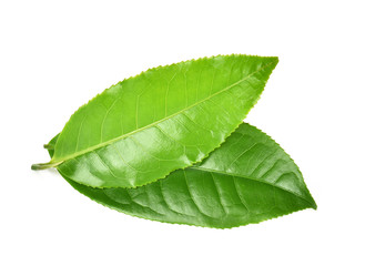 green tea leaf  isolated on white  background