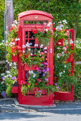 Fototapeta na wymiar Old Red Telephone Box in Bloom