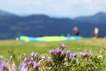 Acrylic prints In den Bergen