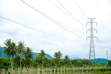 Obraz premium High voltage electricity pole with clear blue sky landscape