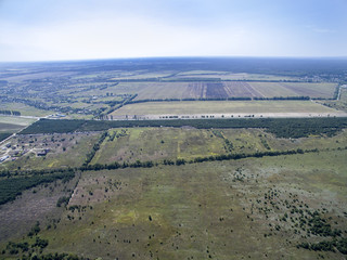 forest, view from above