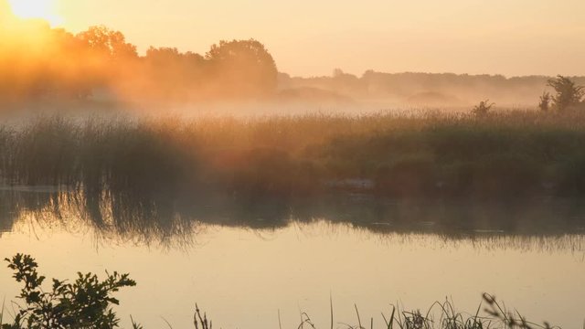 Morning fog on a quiet lake in the rays of the rising sun