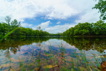 Clear Blue sky river reflection landscape