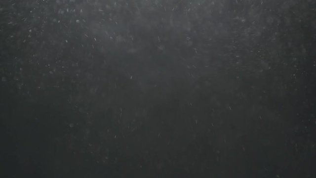 Slow motion explosion effect of backlit dust particles on a black background