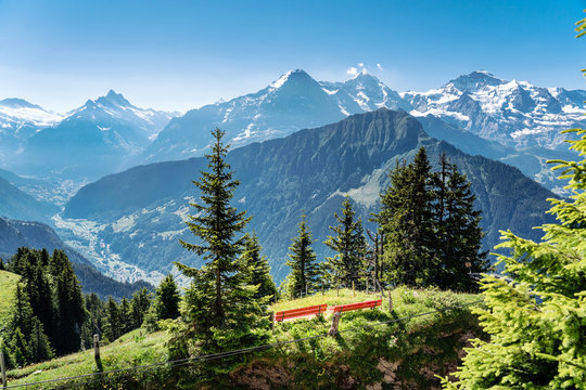 Aussicht, Parkbank, Alpenpanorama, Schynige Platte, Berner Oberland, Schweiz