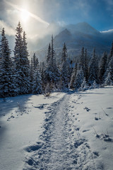Fototapeta na wymiar Enjoy your winter journey to Tatras Mountains, Poland