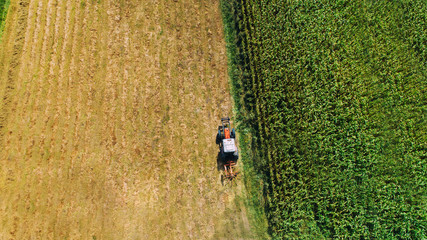 Harvest of hay, tractor using rotary rakes on agriculture crops. Aerial view, dron view
