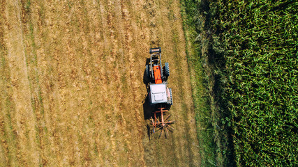 Aerial view of combine harvester, tractor on hay field. Agriculture and harvesting. Wheat production ..