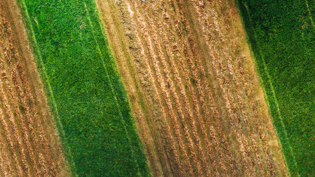 aerial view of agriculture crops, wheat, corn and hay.