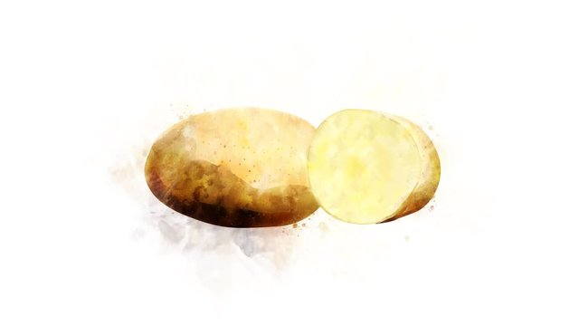Potato on a transparent background