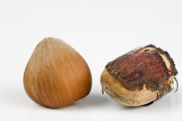 Hazelnuts in shell on a kitchen table. Hazel fruit as an addition to kitchen dishes.