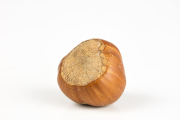 Hazelnuts in shell on a kitchen table. Hazel fruit as an addition to kitchen dishes.