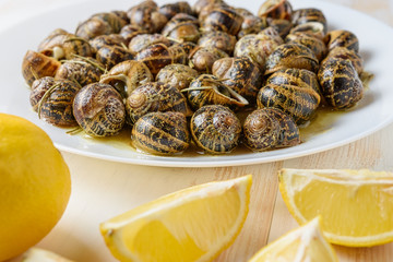 Tasty fried snails with lemon in white plate on white wooden background.