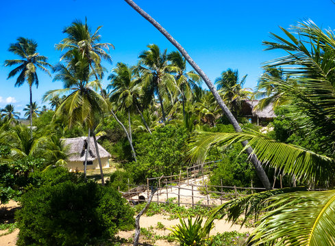 aleida de hippie arembepe bahia brazil, vacacion,