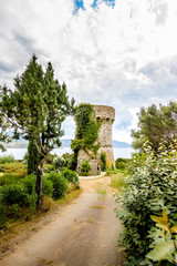 Fototapeta na wymiar Design stone tower in the middle of the garden.
