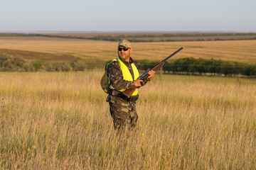 Hunter with a German trotter and spaniel, hunting a pheasant with dogs