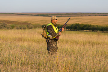 Hunter with a German trotter and spaniel, hunting a pheasant with dogs