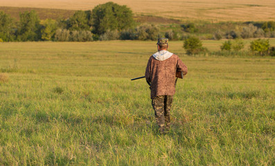 Hunter with a German trotter and spaniel, hunting a pheasant with dogs