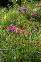garden, nature flowers, 