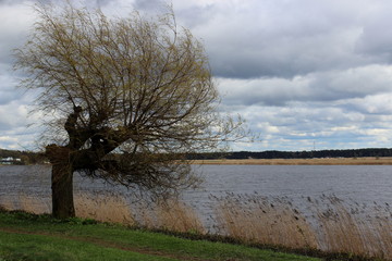 jurmala beach close to riga, latvia