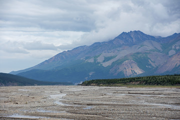 Denali National Park Green Transit Bus Tour 