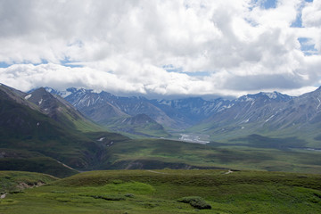 Fototapeta premium Denali National Park Green Transit Bus Tour 