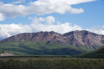 Naklejka premium Denali National Park Green Transit Bus Tour
