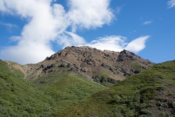 Denali National Park Green Transit Bus Tour 