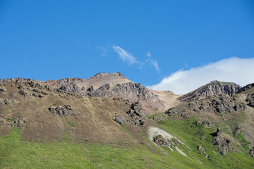 Denali National Park Green Transit Bus Tour 