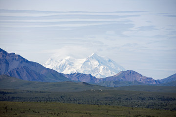 Fototapeta premium Denali National Park Green Transit Bus Tour 