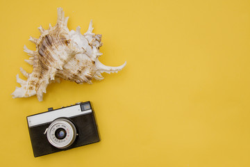 from a trip to the South-a camera and a shell