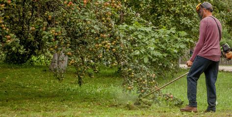Gardener using machine cutting green grass in garden. Garden equipment. Young man mowing the grass with a trimmer