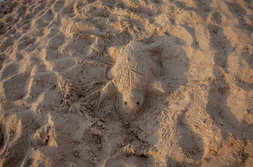 Sand sculpture of a sea turtle