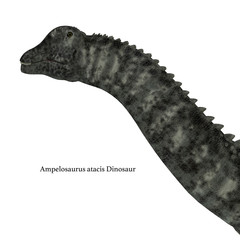 Ampelosaurus Dinosaur Head - Ampelosaurus was a herbivorous sauropod dinosaur that lived in Europe during the Cretaceous Period.
