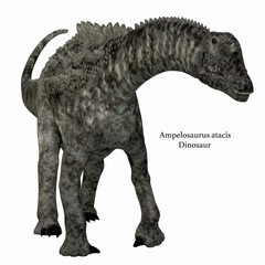 Ampelosaurus Dinosaur Front - Ampelosaurus was a herbivorous sauropod dinosaur that lived in Europe during the Cretaceous Period. © Catmando