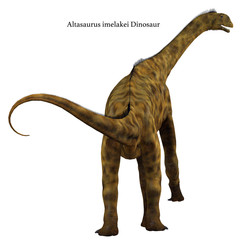 Atlasaurus Dinosaur Tail - Atlasaurus was a herbivorous sauropod dinosaur that lived in Morocco, North Africa during the Jurassic Period. © Catmando